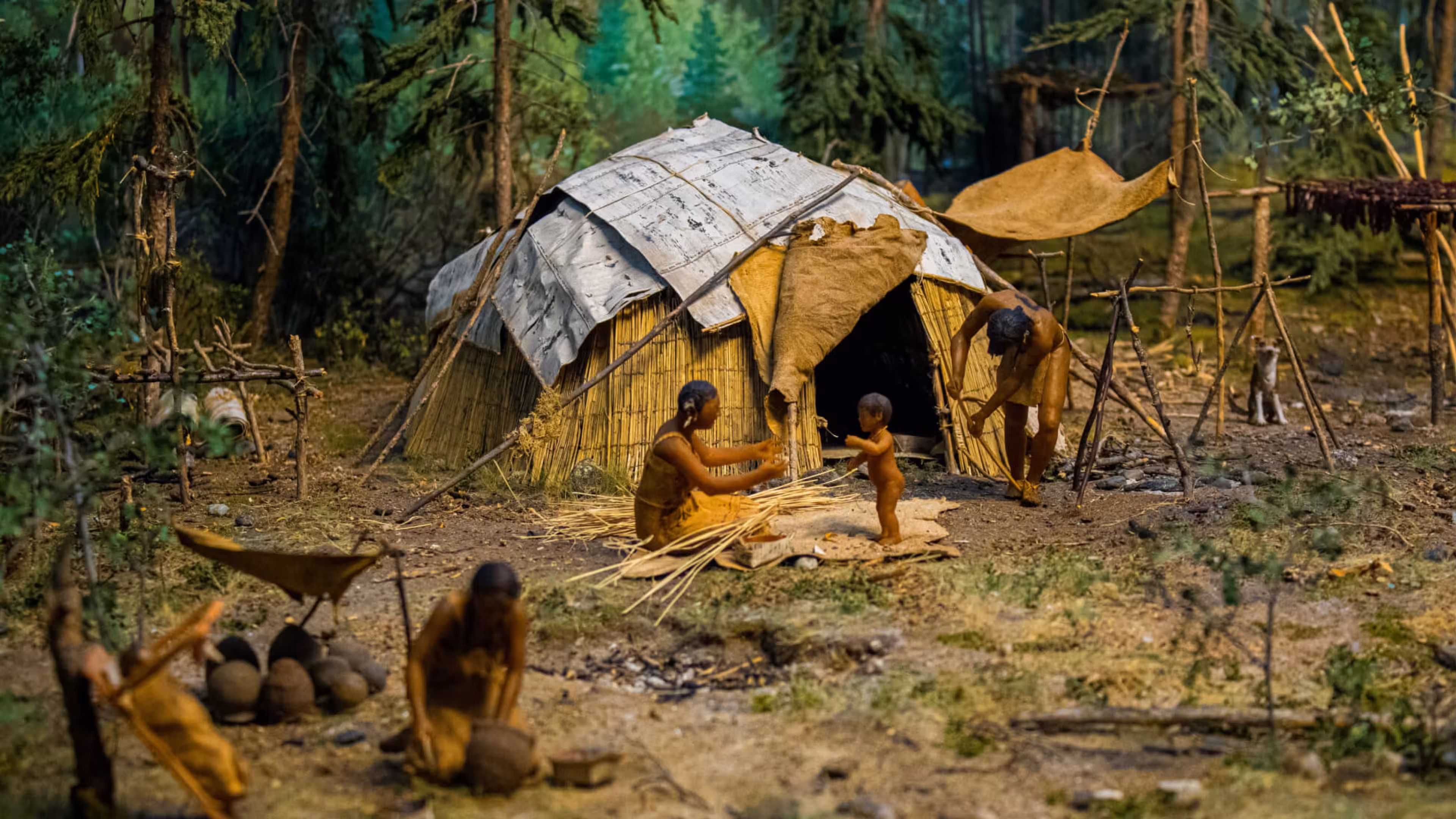 Epigenetika - Sme tým, čo prežili naši predkovia