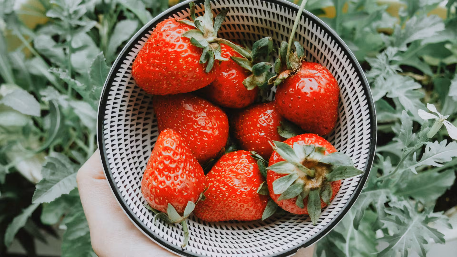 Podcast Celostné rozhovory: S gastroenterológom s celostným prístupom MUDr. Jarolímom Šutkom