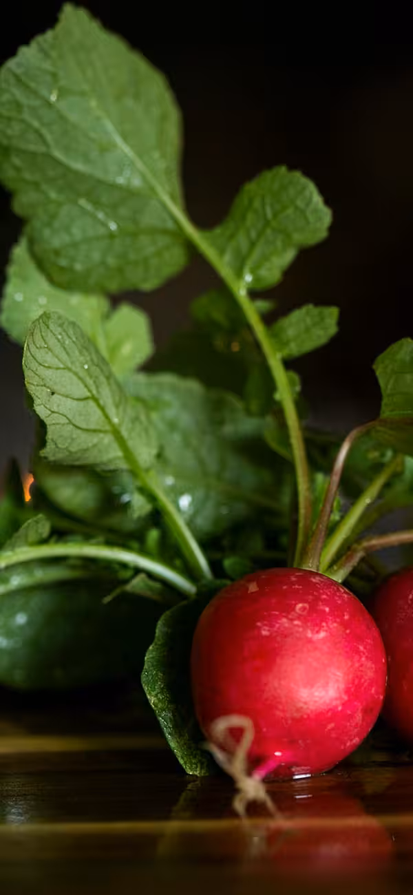 Jarné jedlo v súlade s prírodou