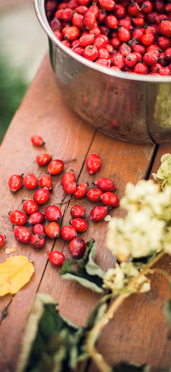 Vyskúšajte 5 slovenských potravín, ktoré odoženú chorobu: doma ich máte aj vy!