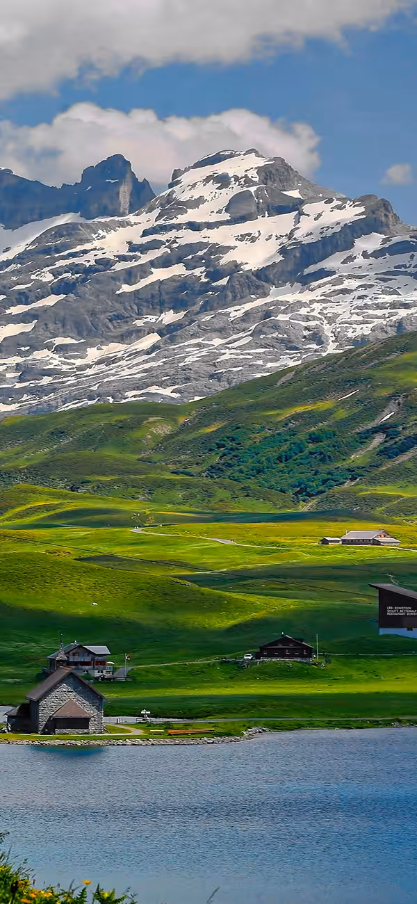 Celostná liečba vo Švajčiarsku – homeopatia, tradičná čínska medicína či bylinná liečba sú hradené zdravotnými poisťovňami od mája 2017